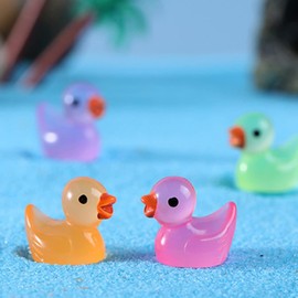 Wentoenapp 10Pcs Miniature Animal Figures, Miniature Duck Tiny Animal Figurine Mini Toys Ornament Kits for Adult Present for Home Decoration, Décor (Transparent)