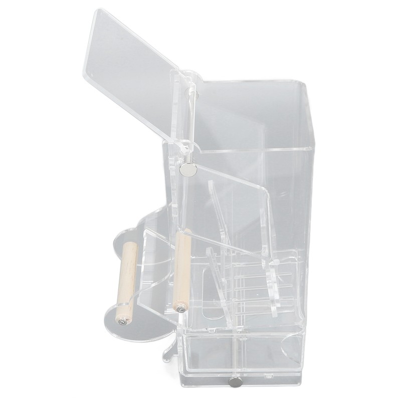 Automatic Parrot Feeder Prevent Spillage and Splashing Easy Installation Acrylic