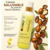 Set Shampoo, Oleo 3 En 1 Mascarilla Bifásico Terramar 4