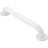 Moen Glacier White Bathroom Safety 18-Inch Shower Grab Bar with