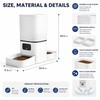 6L Wi-Fi Automatic Pet Feeder for Two Pets – App-Controlled