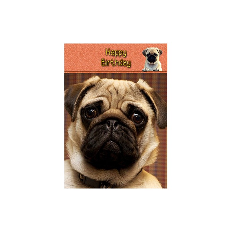 Pug Dog Birthday Card