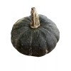 Fresh ORGANIC KABOCHA SQUASH - 10 Seeds Japanese Squash Korean