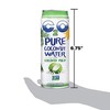 C2O Pure Coconut Water with Pulp | Plant Based |