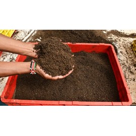 BuildASoil Insect Frass • 5 Lbs • Black Soldier Fly Larvae Frass Soil Amendment