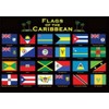 Caribbean Flags Fridge Collector's Souvenir Magnet 2.5 inches X 3.5 inches