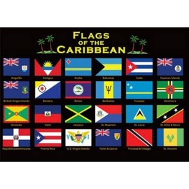 Caribbean Flags Fridge Collector's Souvenir Magnet 2.5 inches X 3.5 inches