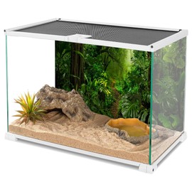 YongFoto Reptile Terrarium Background 36x18 inch Reptile Tank Background Tropical Rainforest Jungle Enchanted Forest Woods Old Tree Reptile Habitat Background Bearded Dragon Tank Background Backdrop