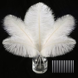 SOGUGOM White Craft Ostrich Feathers - 30PCS 6-8 Small Ostrich Feathers Kit for Kindergarten Crafts, Dream Catchers and Hats(Off White)