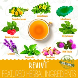 Colon Detox Tea, All Natural Herbal Detox Teas with Dandelion, Senna, Peppermint, Colon Cleanse Tea Supporting Gut and Digestive Health for Men and Women, 14 Day Supply