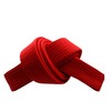 RingMaster Sports Grading Belts 9 Plain Colour for Karte Judo