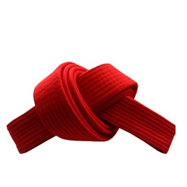 RingMaster Sports Grading Belts 9 Plain Colour for Karte Judo Taekwondo Martial Arts Training Competition | 230cm, 250cm, 280cm, 320cm (Red, 230 cm)