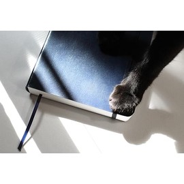 Rouge Cuaderno Grueso Escribir Sketchbook Bullet Journal 360 Páginas Cosido Hecho Mano Rayas Azul Marino