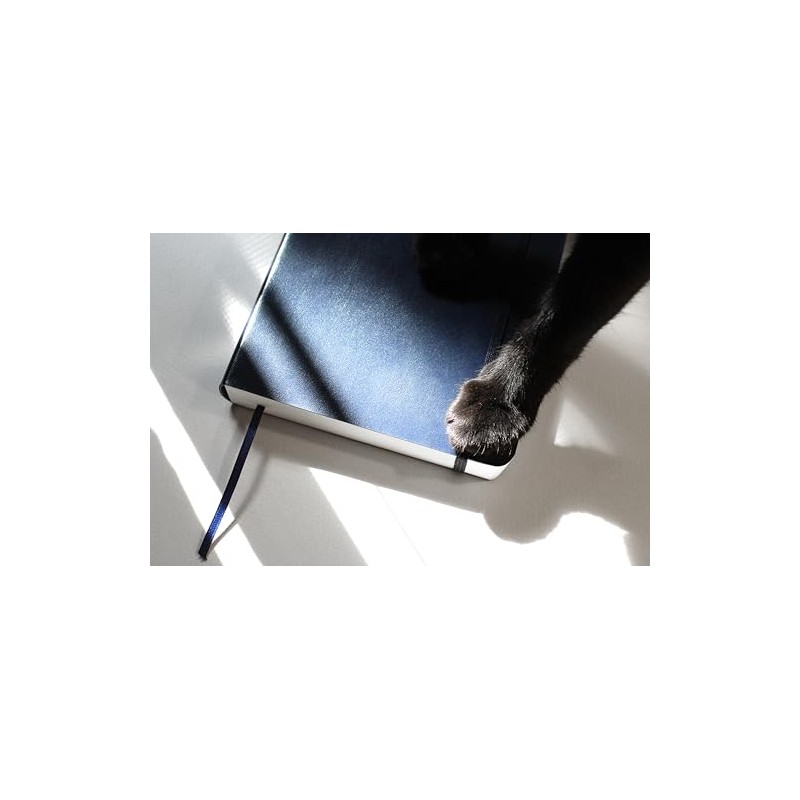 Rouge Cuaderno Grueso Escribir Sketchbook Bullet Journal 360 Páginas Cosido