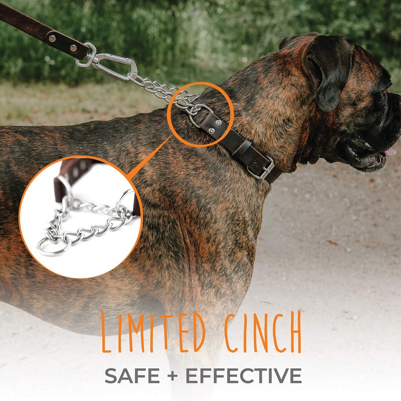 Mighty Paw Martingale Dog Collar - No Pull Design -