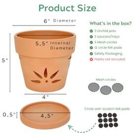 Thriving Thicket Handmade 3 Pack 6 inch Terracotta Orchid Pots with Holes and Saucers, Clay Orchid Planter Pots for Repotting, Small Terra Cotta Vase, Ceramic Plant Flower Pot Indoor Outdoor