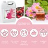 Filorga Age-purify fluido doble correccion 50ml
