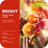 OLLY Bright Body Scrub with Ginseng, Caffeine & Vitamin C–