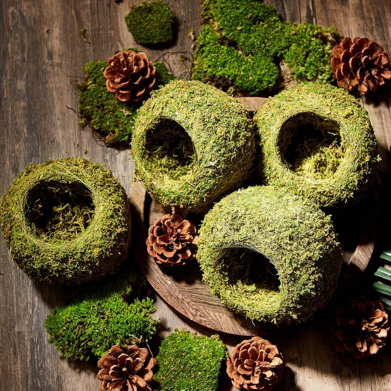 Tinideya 4 Pcs 4 x 4 x 3 Inch Mossy