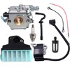 Hippotech Carburetor Carb and Replacement Pack of Air Filter with