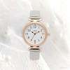 Fieldwork MKJ3015-1 Women's Analog Metal Band Bellows Strap Stainless Steel