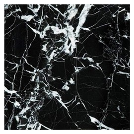 Tenedos China Black Marble 12x12 Polished Tile – Natural Stone with White Veins for Bathroom Wall, Kitchen Backsplash, Fireplace Surround, Floor (Sold by Piece, 1 Sq.Ft)