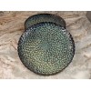 Vancasso Dinner Plates Green Reactive Glaze. Set Of 4. Chrys