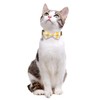 Lamphyface 2 Pack/Set Cat Collar Breakaway with Cute Bow Tie