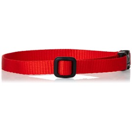 LupinePet Basics 1/2" Red 10-16" Adjustable Collar for Small Dogs