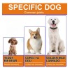 Golosina Perro Snack Natural Cualquier Edad Y Raza 60 Pzs