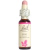 Batch Flower Remedy Pine 0.3 fl oz (10 ml) Glycerin