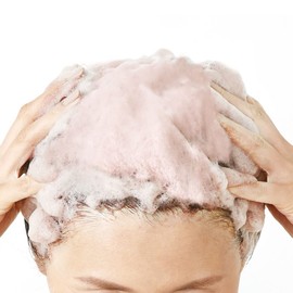 Sastty Color Shampoo for Gray Hair, Economical Use, 16.9 fl oz (500 ml) (Natural Brown)