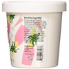 Primal Elements Sugar Scrub, Exfoliating Sugar Whip, Body Cleanser &