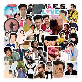 Laptop Sticker Pack 100 Pcs, Harry-Singer Sticker Unique Cool Stickers Waterbottle Notebook Guitar Skateboard Travel Teens Stickers
