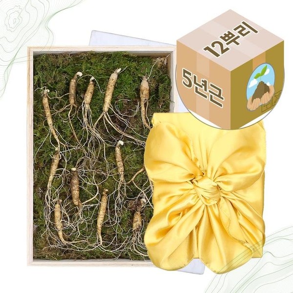 [Good Soil] 12 weeks of genuine 5-year-old domestic wild ginseng, just as a gift from nature / [굿소일] 국내산 산양산삼 산양삼 5년근 정품 12주, 자연이 준 선물 그대로