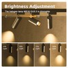 Blakapoo MR16 20W Halogen Bulb 12V 2 Pin GU5.3 Base