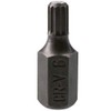 6mm Spline Bit 30mm Length 10mm Shank Chrome Vanadium Hardened
