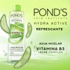 Agua Micelar Ponds Fruity Hydrafresh Aloe 300 ml