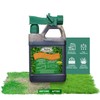 Medina HastaGro Liquid Lawn Fertilizer - 12-4-8 Liquid Fertilizer for
