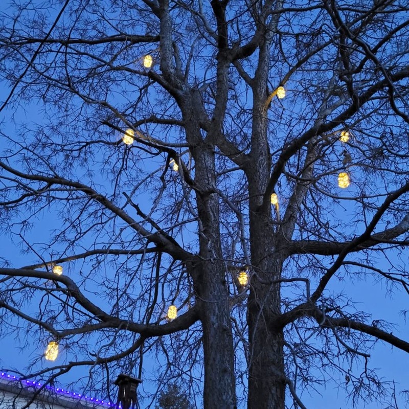 Solar Mason Jar Lights 10 Pack 20 LED Waterproof Outdoor