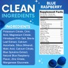 My Adventure to Fit Zero Sugar - Blue Raspberry Electrolytes
