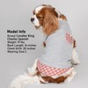 KYEESE Waffle Dog Shirts for Small Dogs Soft Lightweight T-Shirts