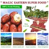 Dried Jujube Dates Pitted Red Date Natural Sweet Chinese 红枣