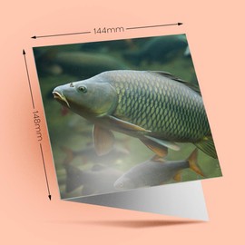 1 x Greeting Card Wild Common Carp Fish Fishing - Blank Birthday Celebration Anniversary #15753