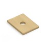 Schaub Pub House Collection 1 in. (25mm) Knob Backplate, Signature Satin Brass - 5101B-SSB
