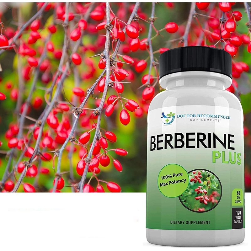 DOCTOR RECOMMENDED SUPPLEMENTS Berberine Plus 1200mg Per Serving - 120