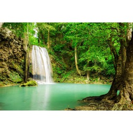 ZatiasMiller Waterfall Aquarium Background Lake Old Tree Terrarium Background Tropical Plants Fish Tank Backdrop Sunny Mountain Vinyl Fish Tank Decor 30x12in