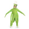 JYZCOS Praying Mantis Costume for Kids (Medium)