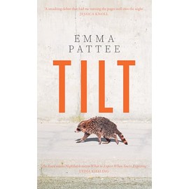 Tilt: A thrilling literary debut about how we confront disaster, hotly anticipated for 2025