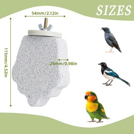 AnRui Bird Perches Calcium Parrot Perch Stand Toy Parrot Chewing Toys Bird Beak Grinding Stone Foot Claws Trimmer for Budgie, Cockatiel, Conure, Lovebird, Finch, 4 Pcs (Gray, Grape)